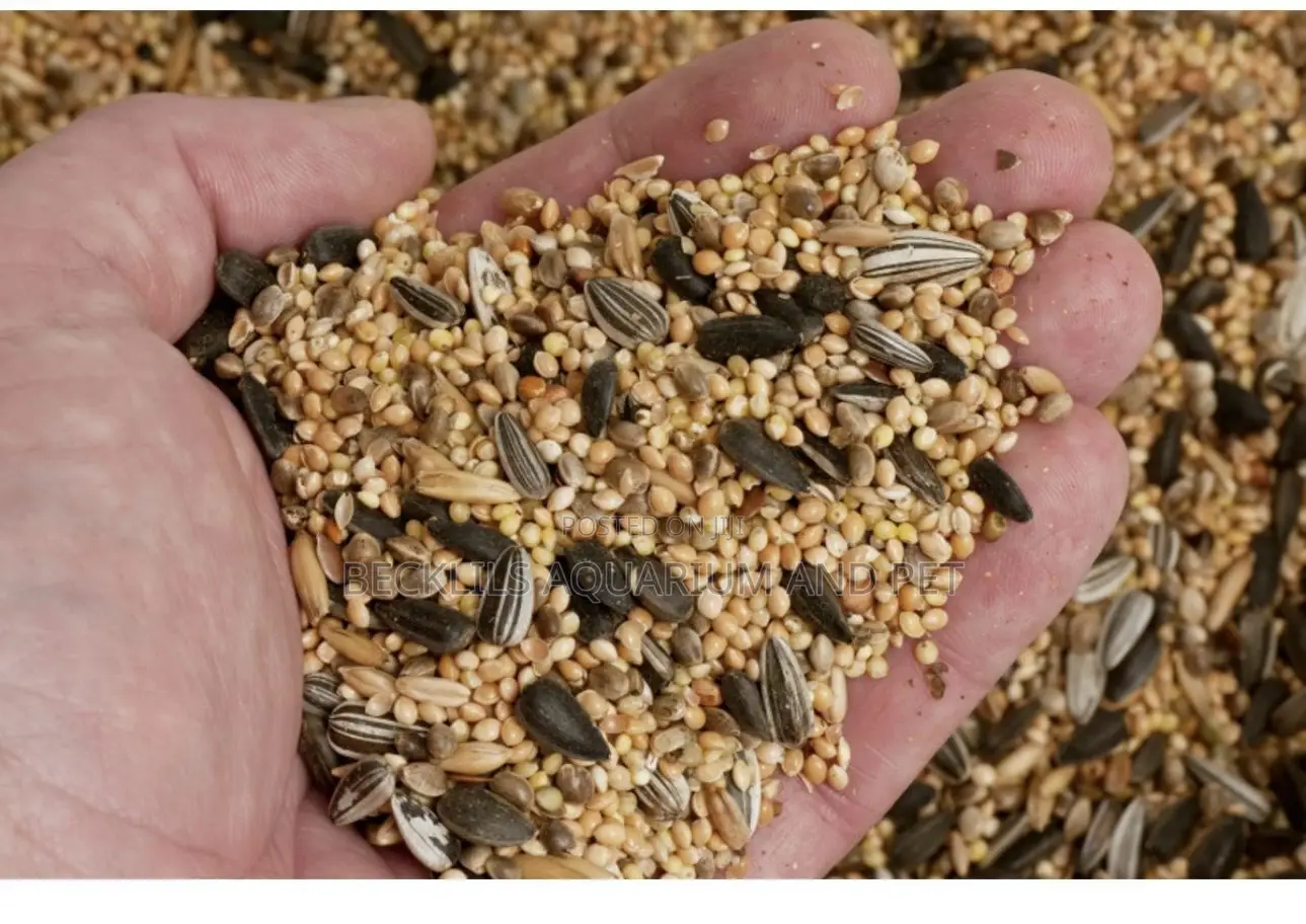 Small Bird Food (500g)