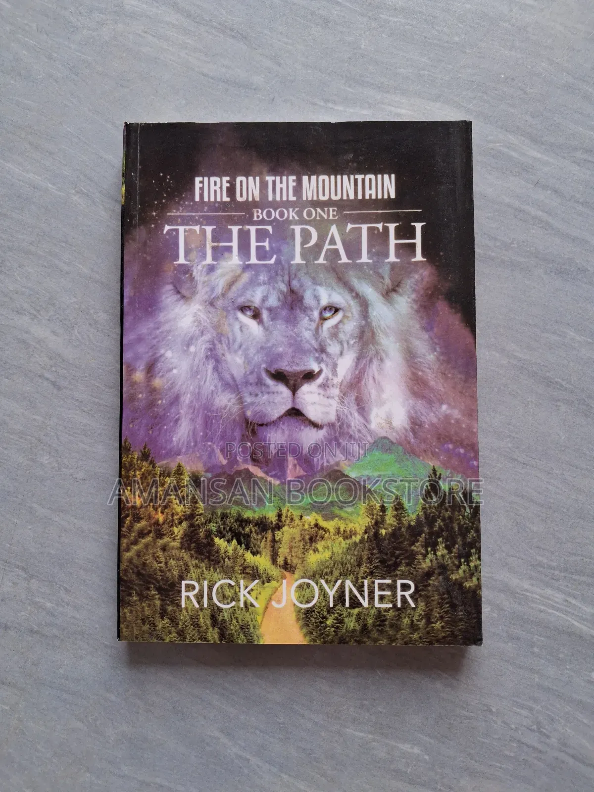 Fire on the Mountain Book One :The Path