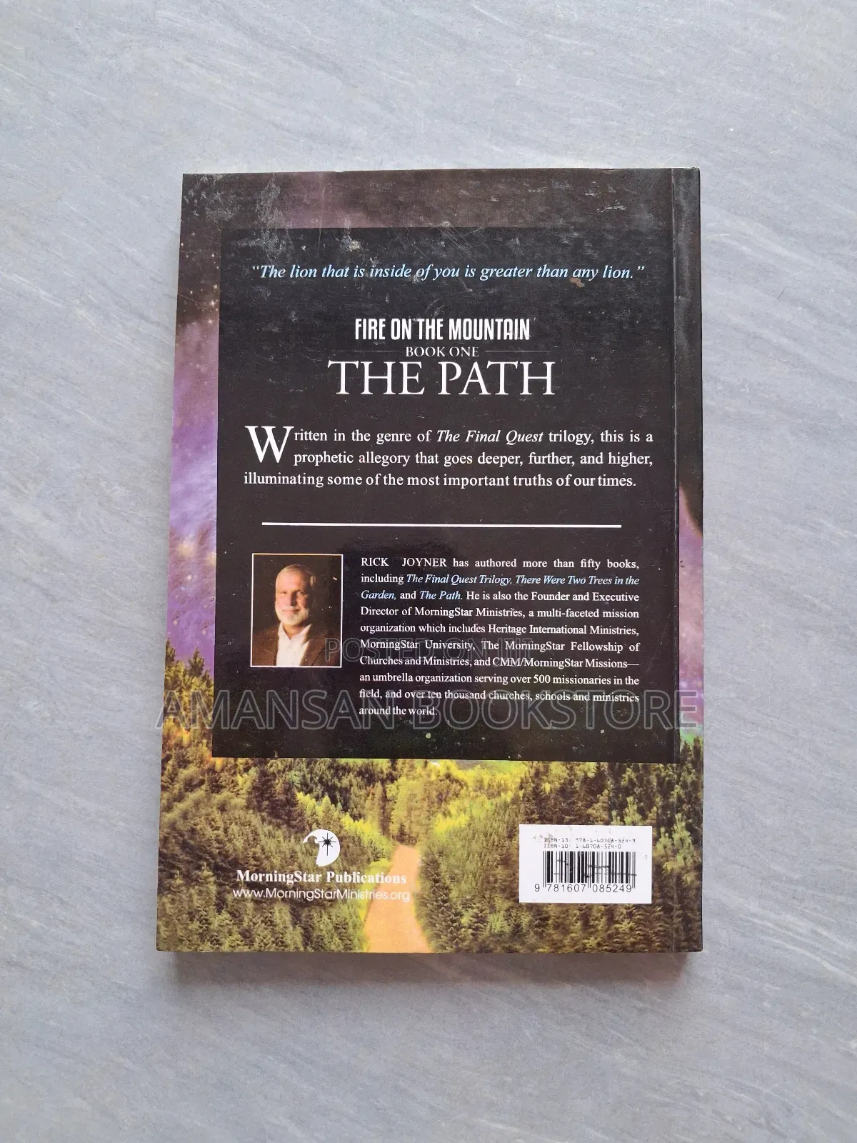 Fire on the Mountain Book One :The Path