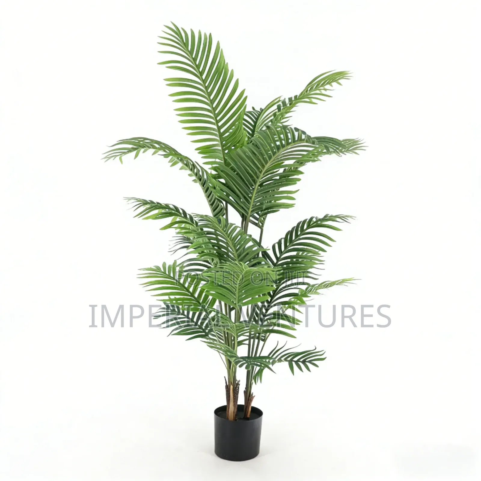 Quality Artificial Plants