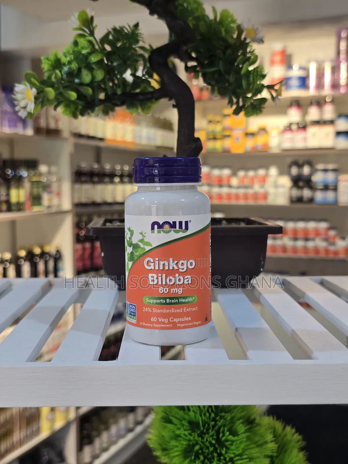 Ginkgo Biloba 60mg