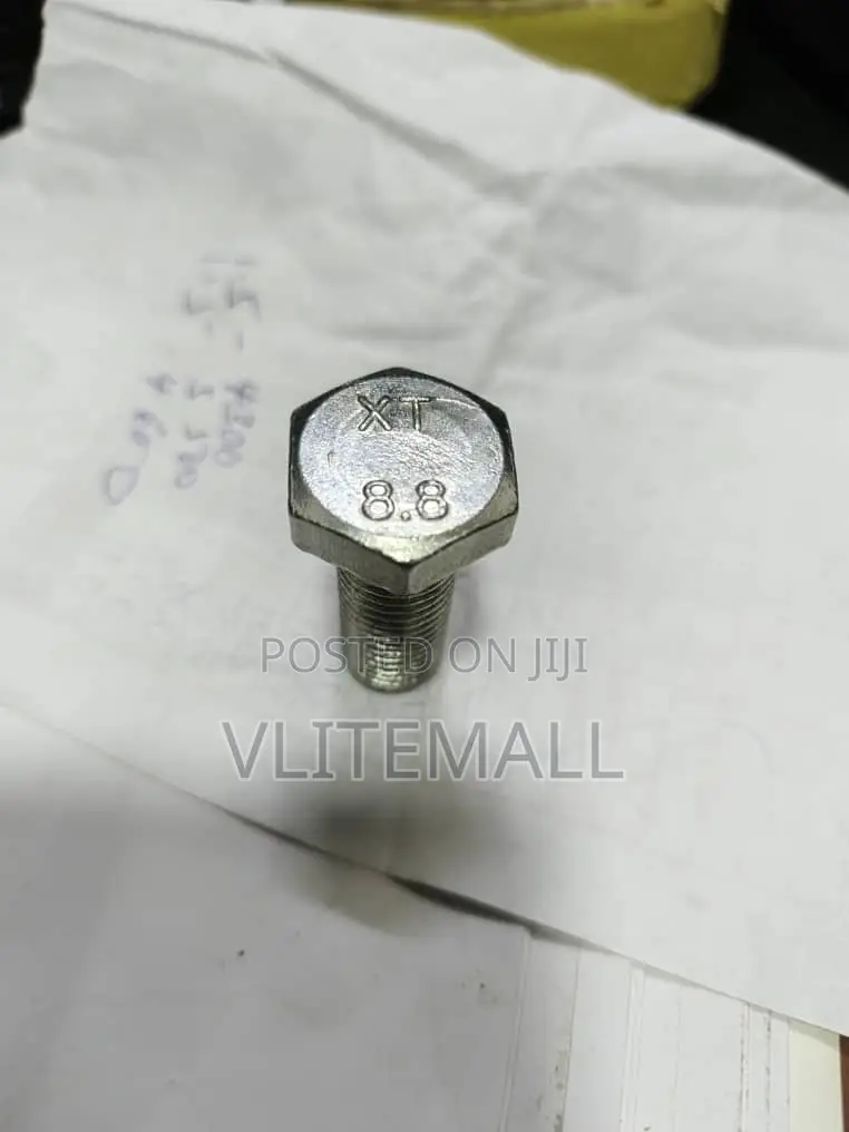 Tensile Grade a Xt 8.8 Hex Bolt M16*40mm