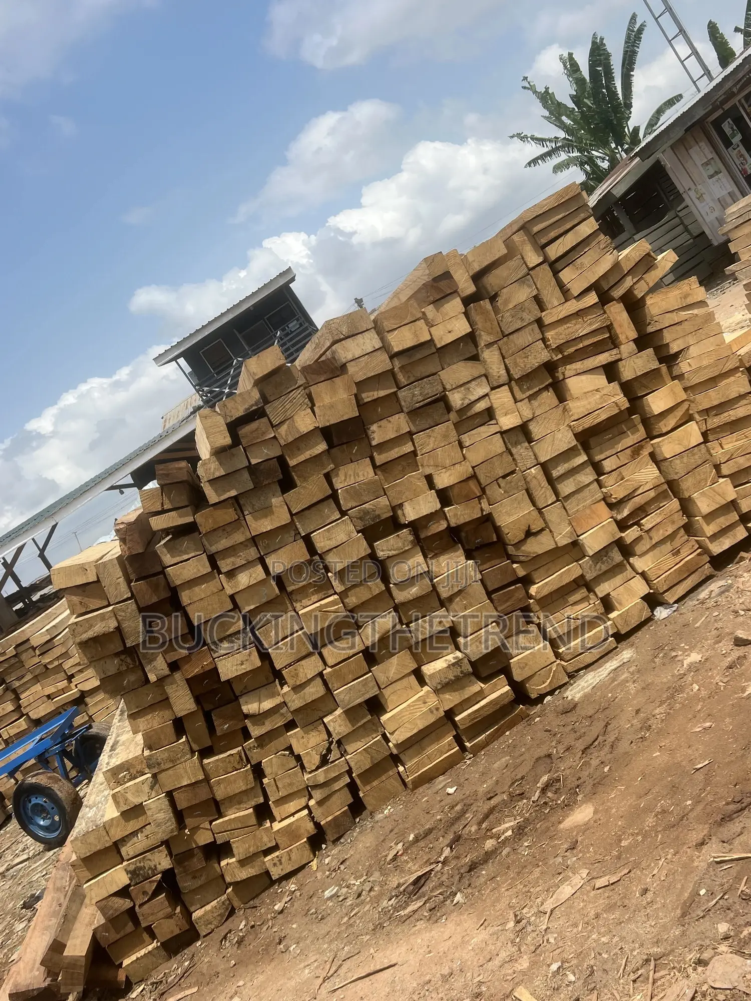 Ceiling Buttons ,Cindera,Odum,Mahogany Ceiba,Dahoma,Denya,Asanfina,