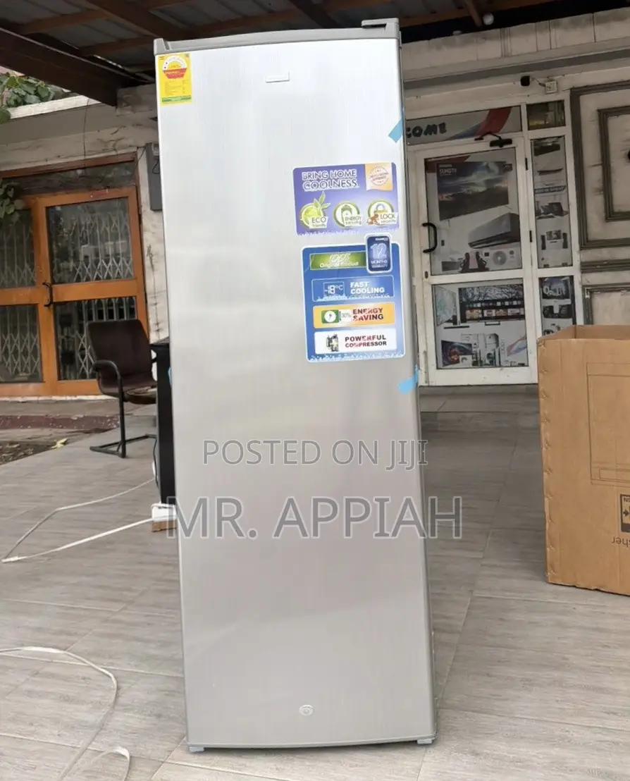 Nasco Single Door Electric Upright Standing Freezer(Nasd1-33) 