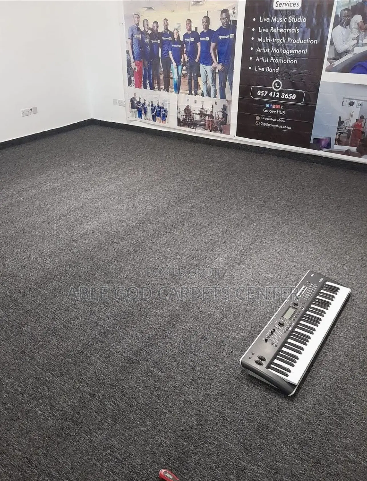 Black Ash Fluffy Carpet/Quality Room, Studio, Hotel, and Office Carpet