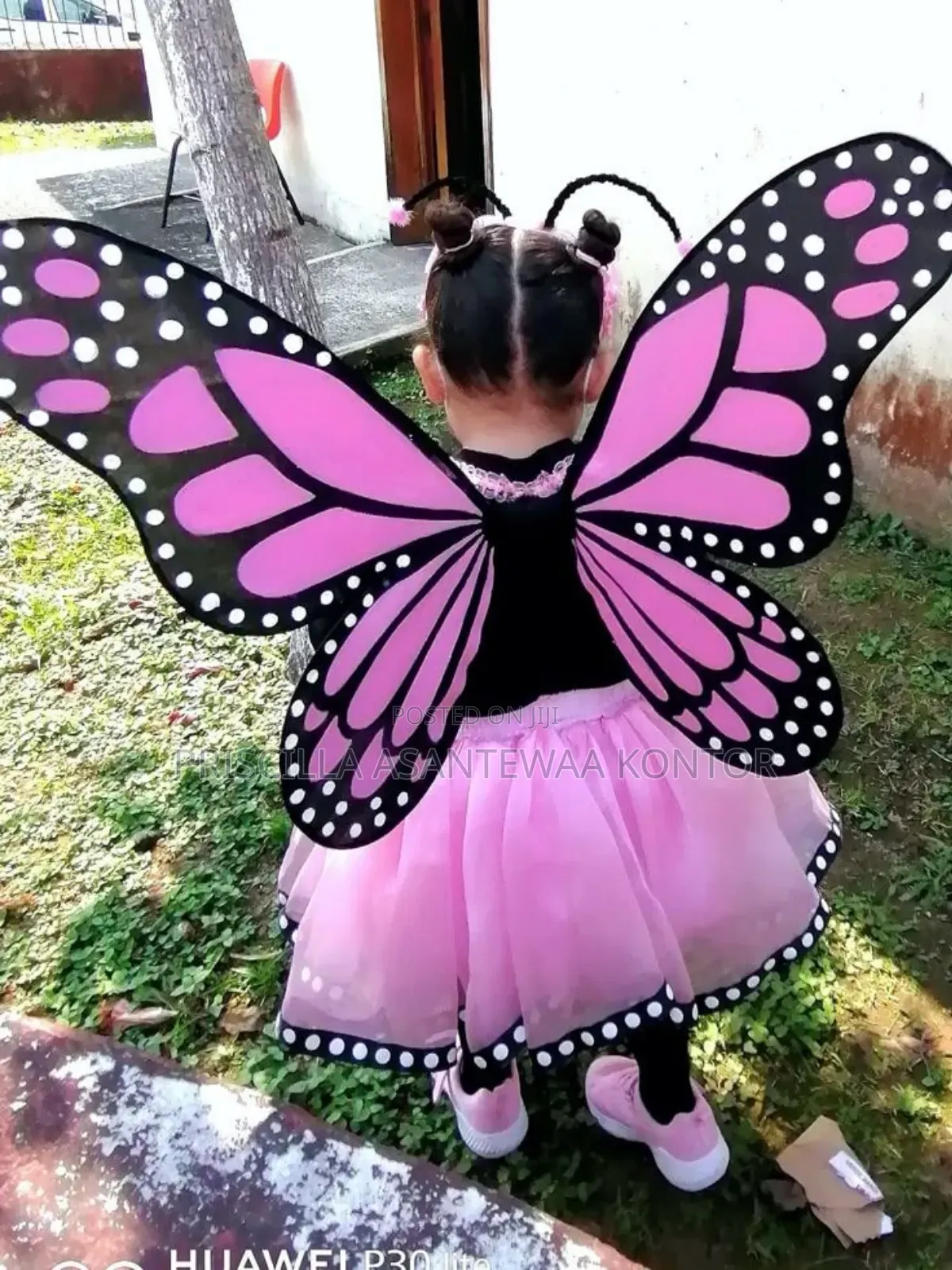 Butterfly Accessories
