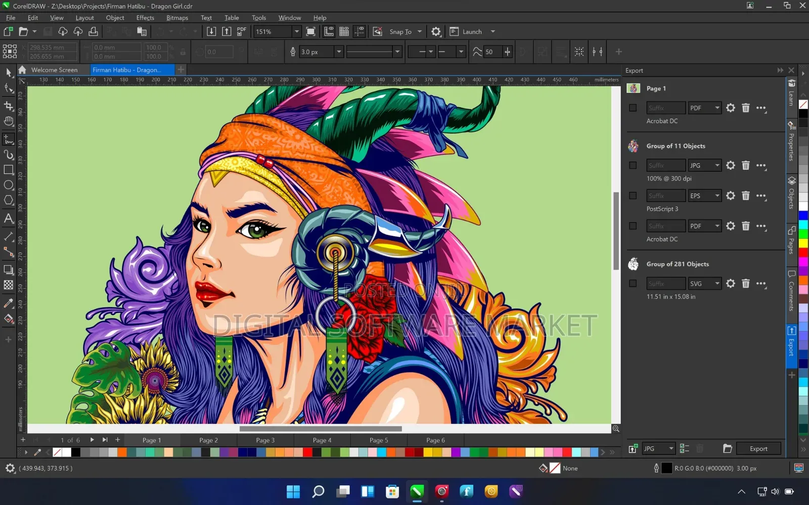 Coreldraw Graphics Suite (Latest 2026) for Mac or Windows Lifetime