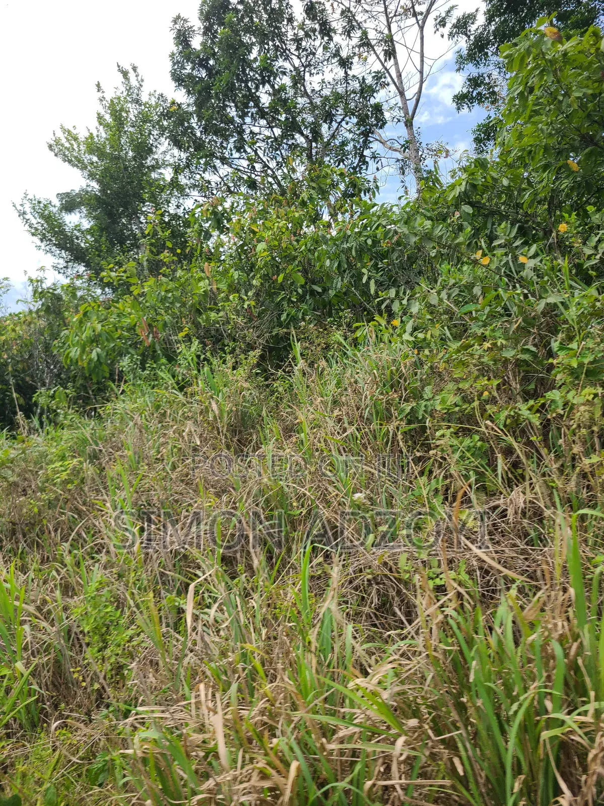 Registered 1000 Acres of Farme Land for Sale