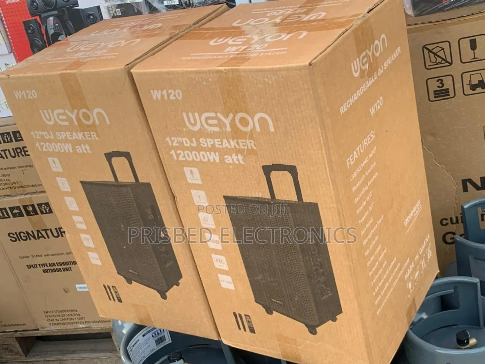 Weyon 12" Dj Speaker 1200w