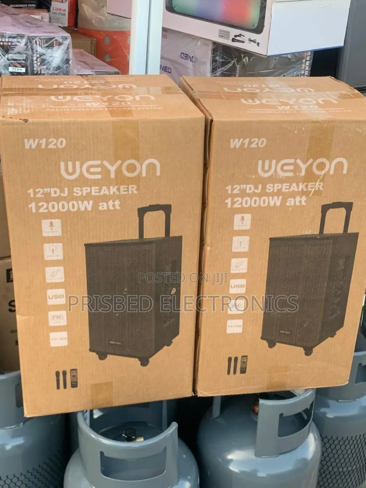 Weyon 12" Dj Speaker 1200w