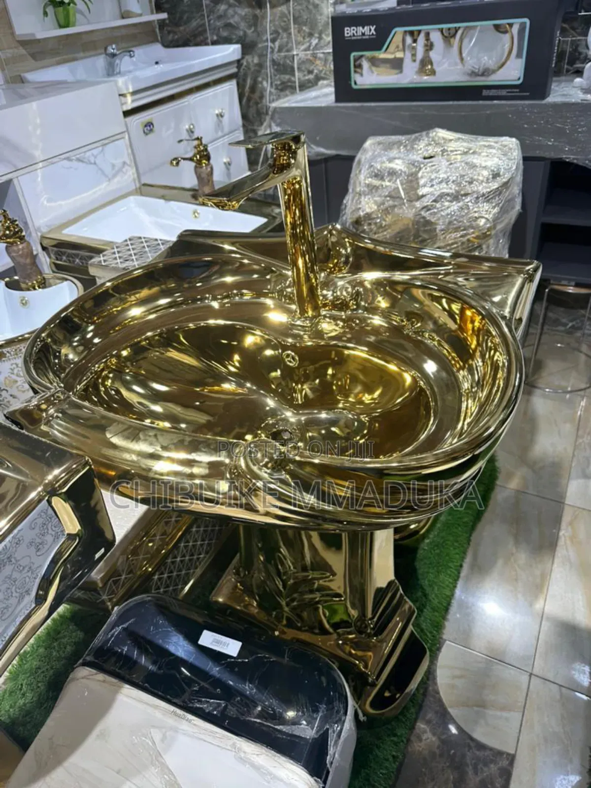 Gold Toilet Seat and Basin