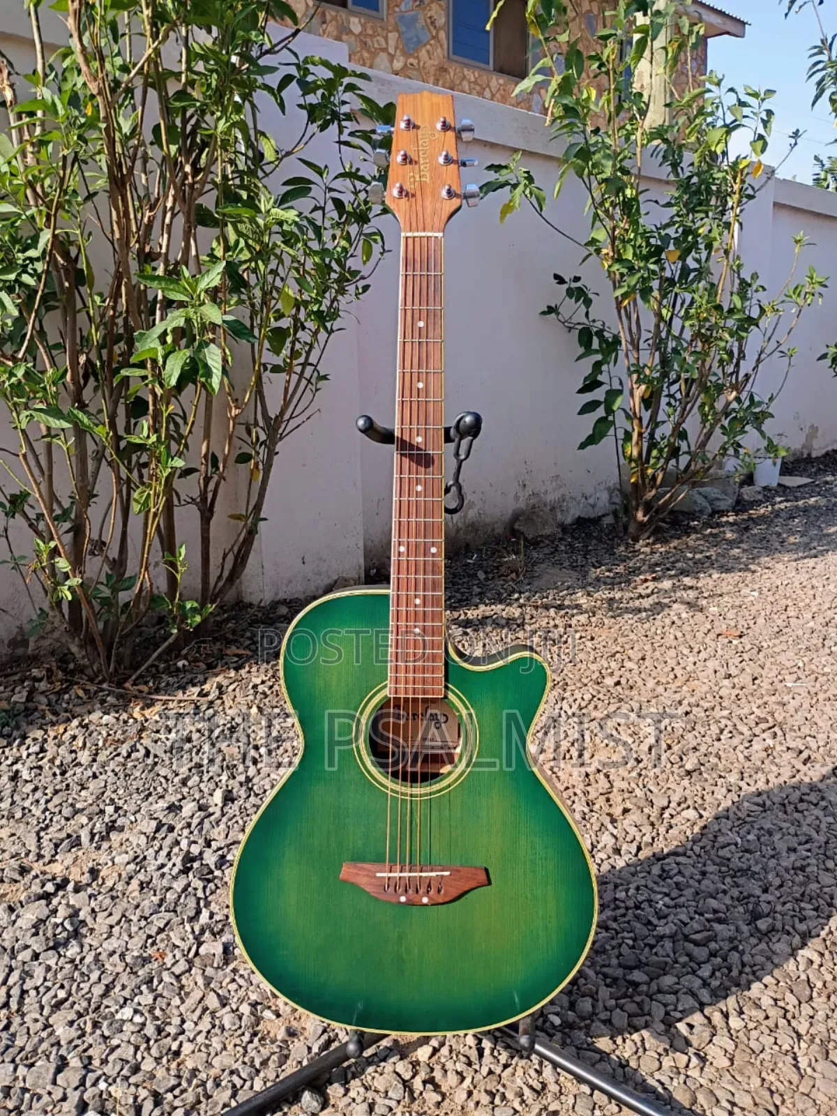 Barclay Sc- 300 Semi Acoustic Guitar