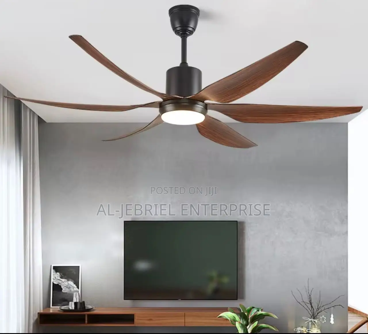 Windy 66” Elegant Ceiling Fan