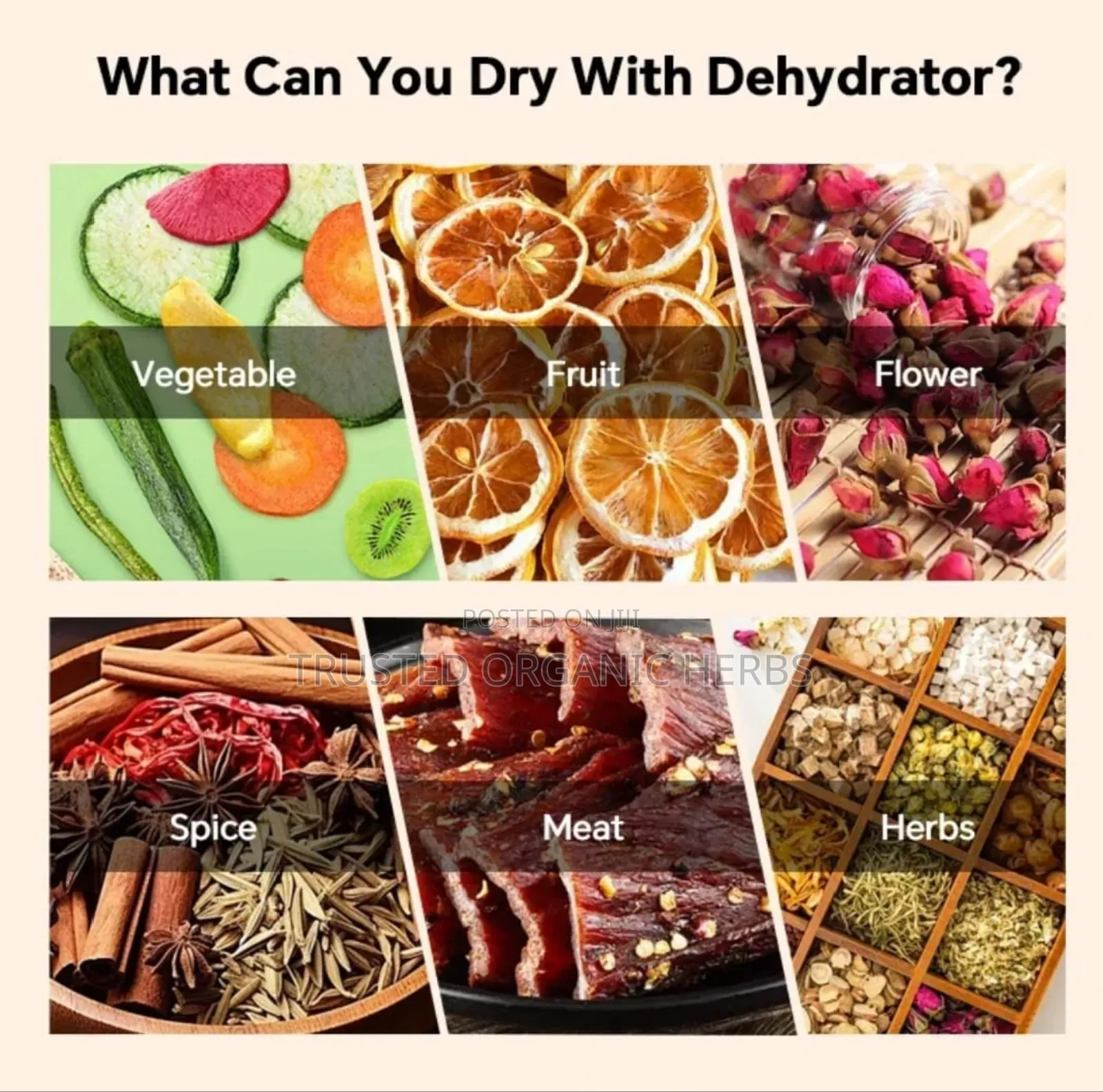 22 Layer Food Dehydrator