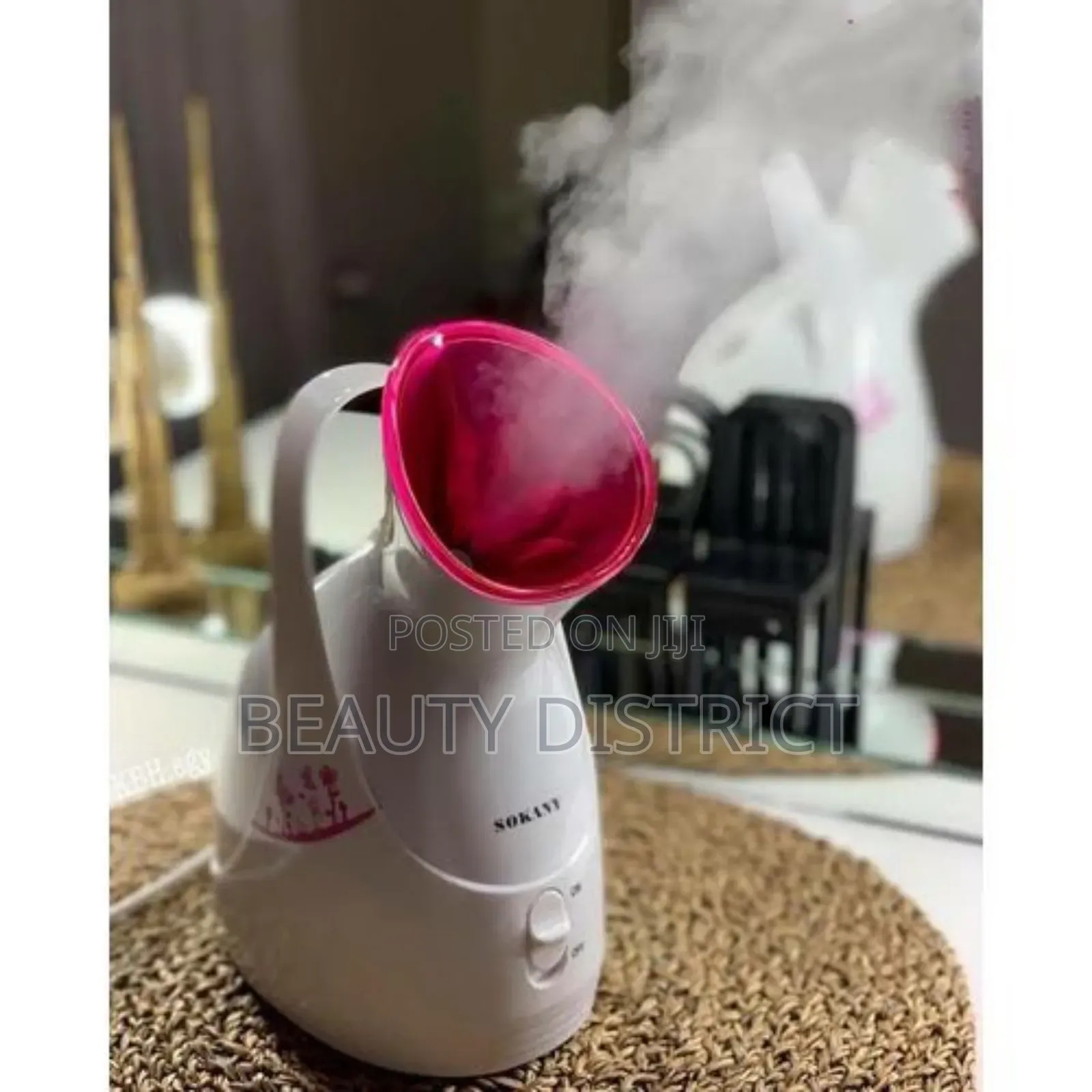 Facial Steamer