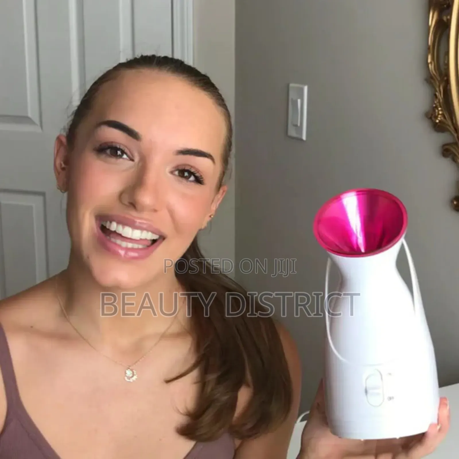 Facial Steamer