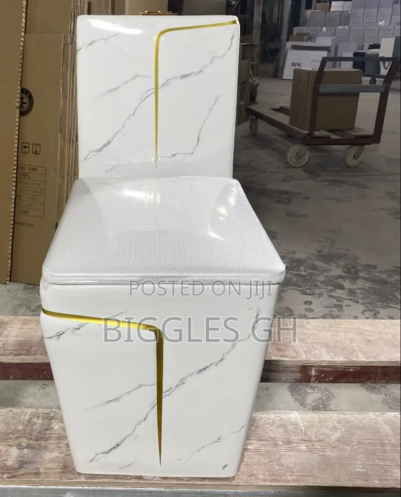 White and Gold Wc