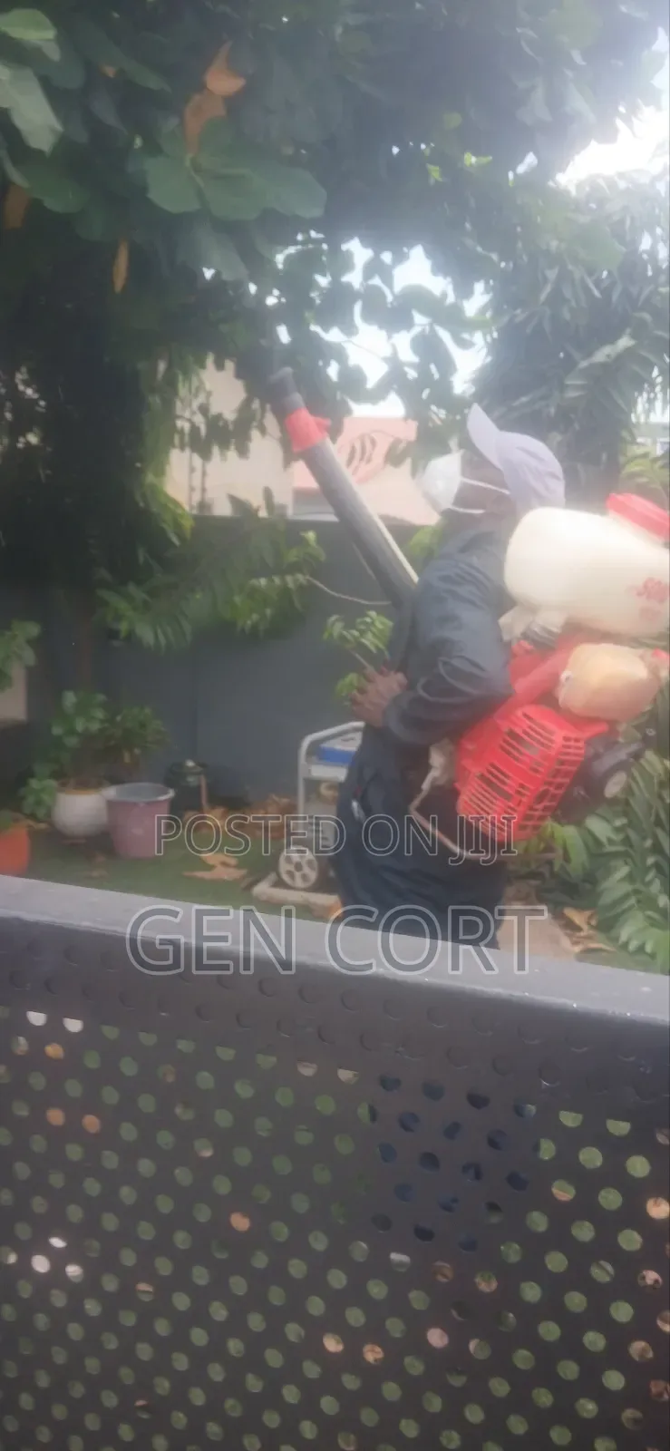 Pest Free Fumigation Service