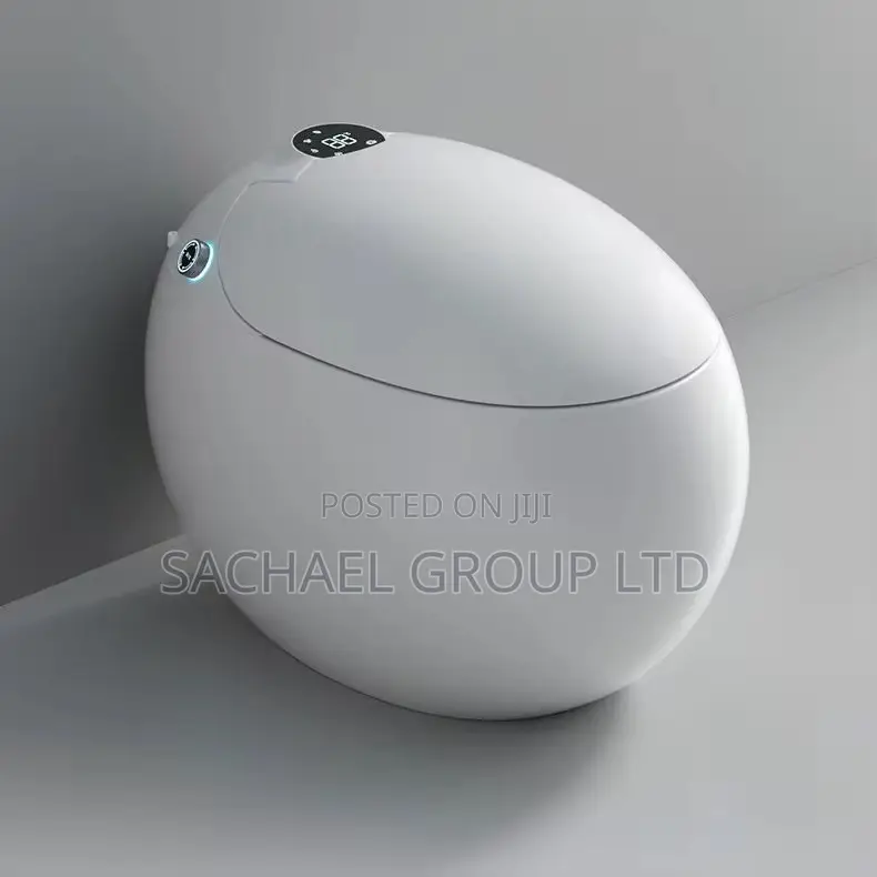 Smart Electronic Water Closets