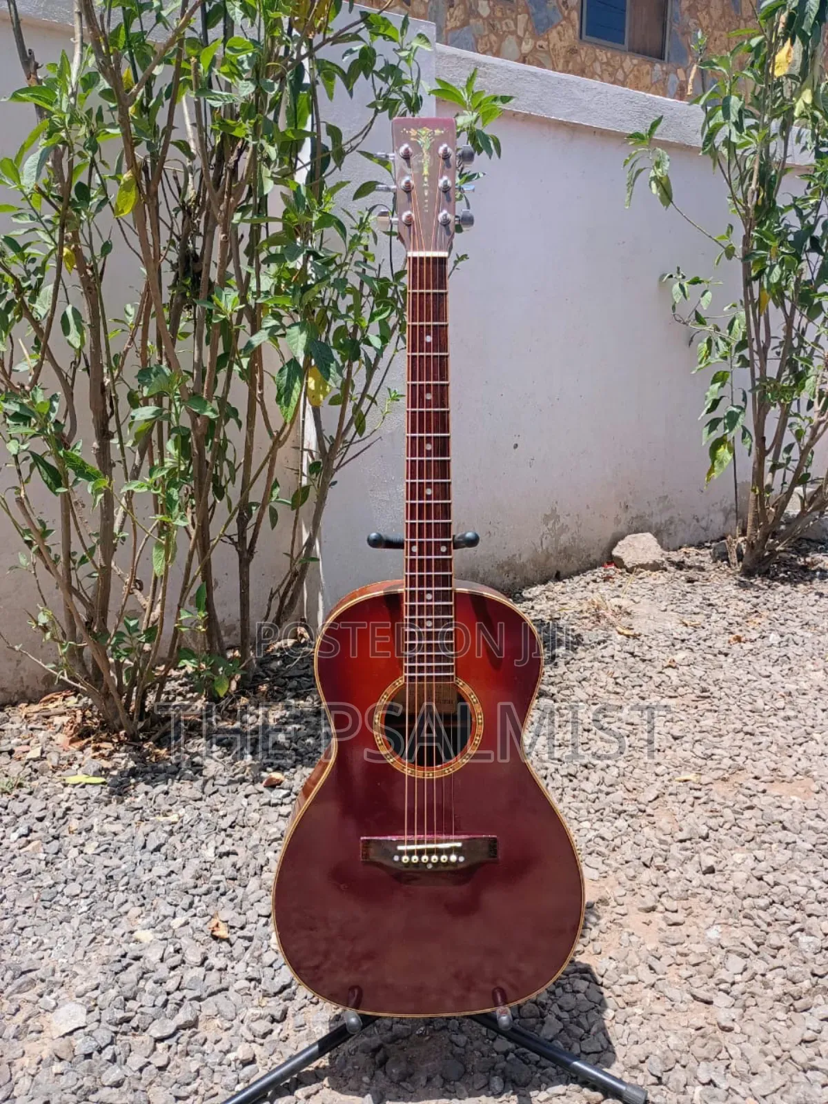 Aria Adl-01bs Acoustic Guitar