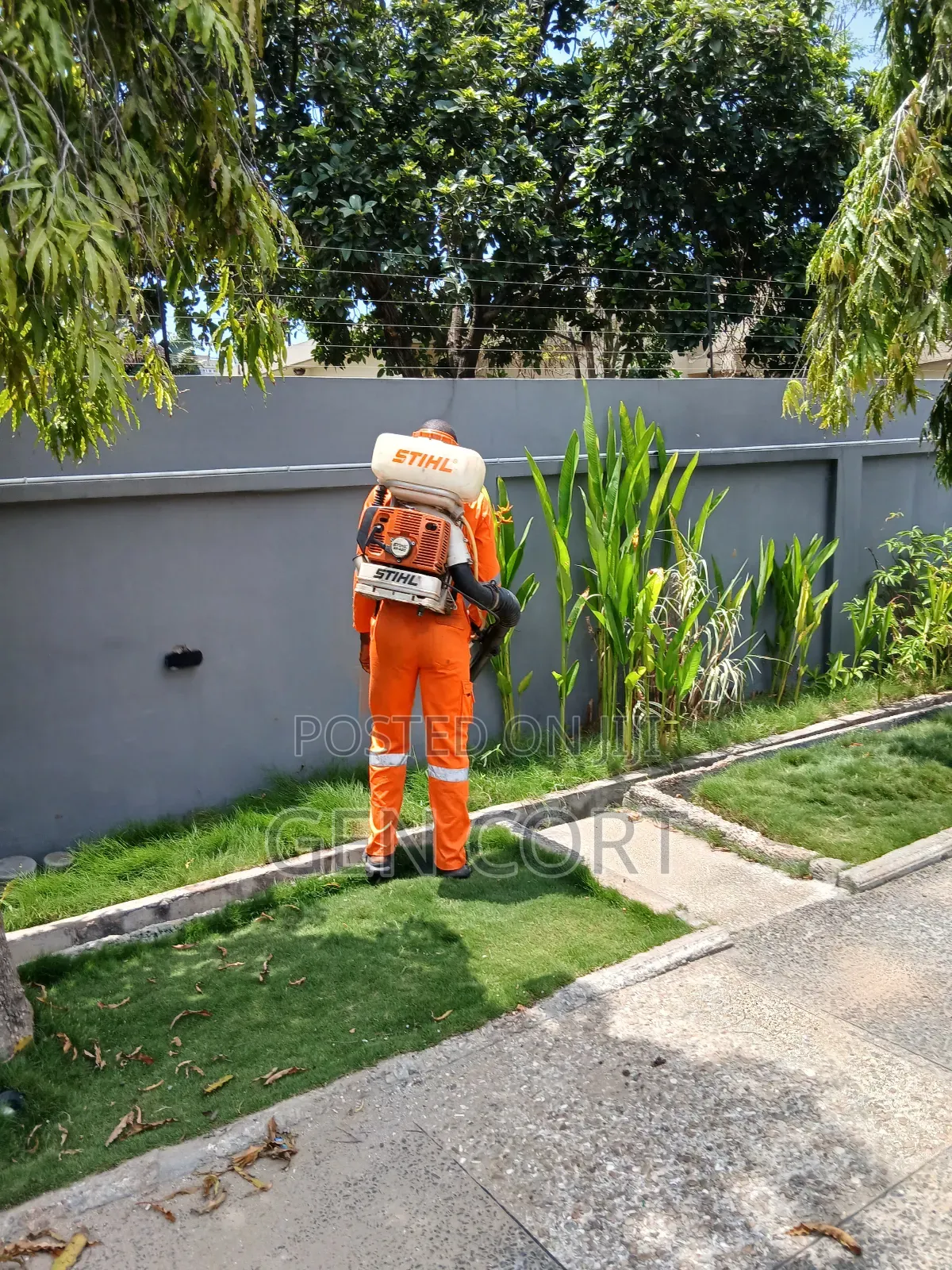 Bedbugs Pest Control