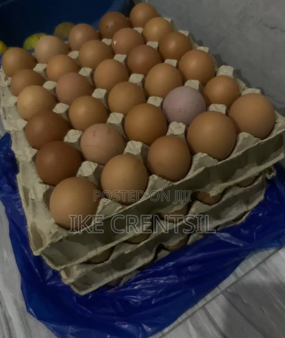 Fresh Farm Eggs-Medium to Large Size