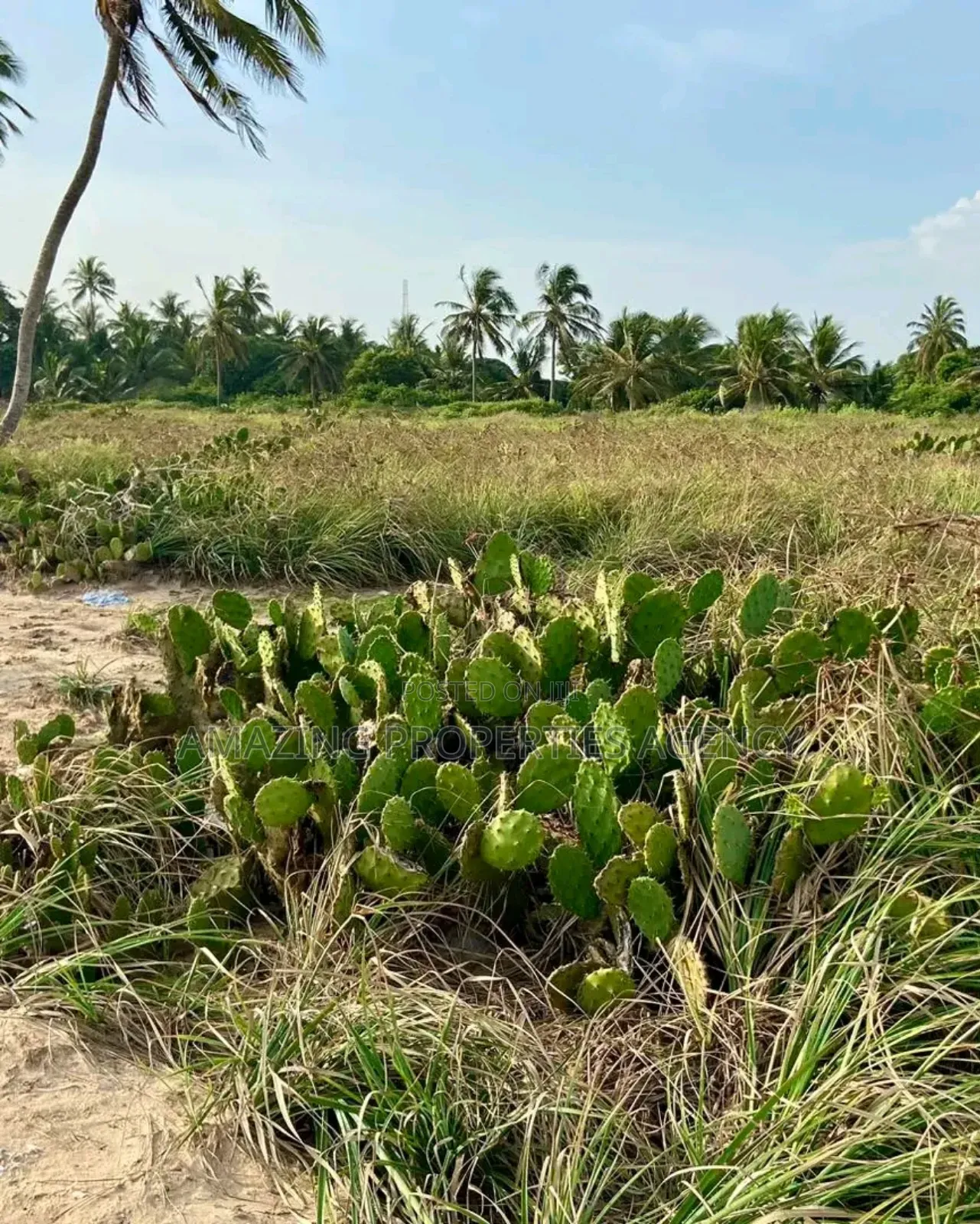 5 Plots of Land Available for Sale at Lashibi, Behind Emefs