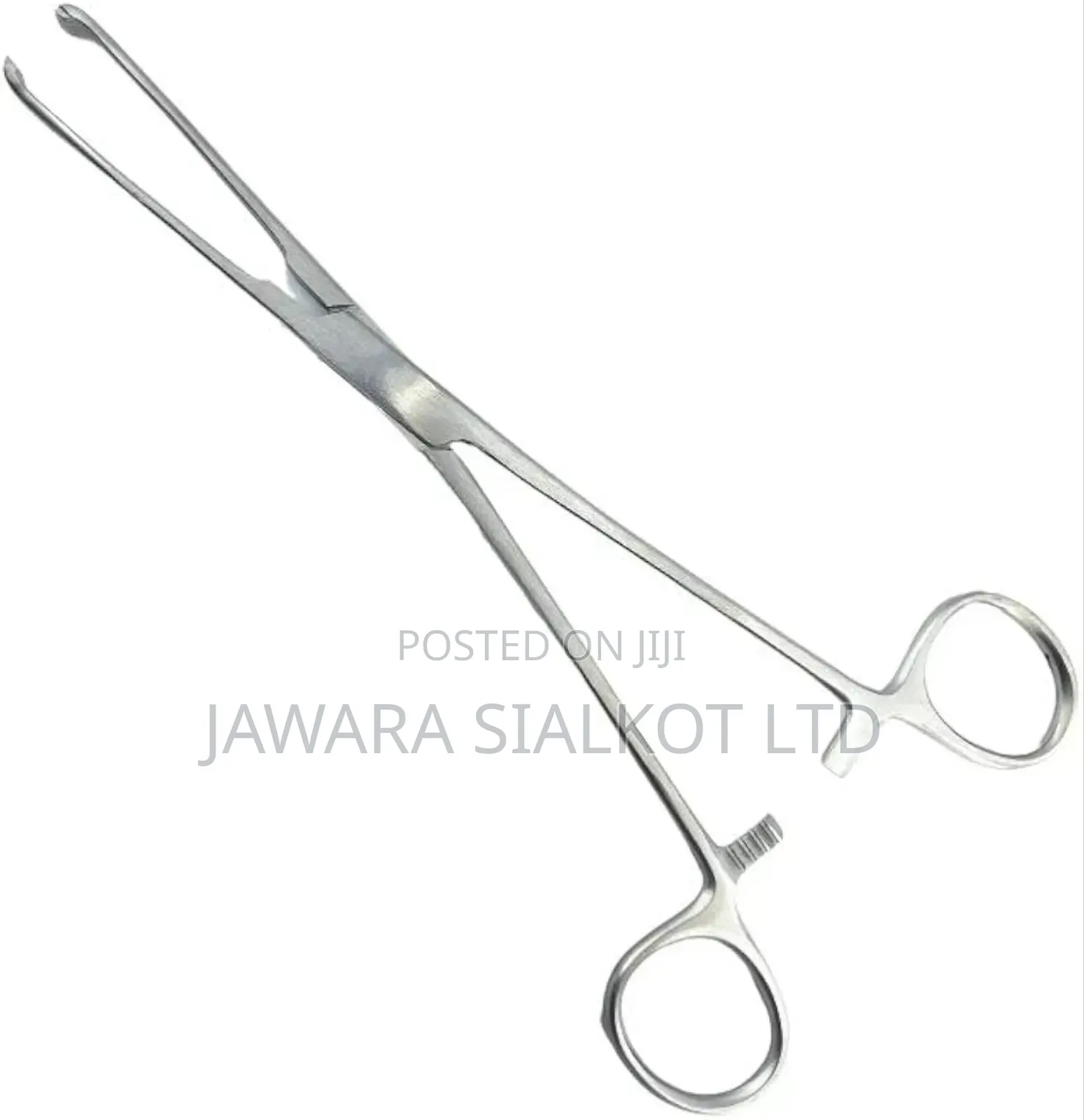 Allis Tissue Holding Forcep 24cm
