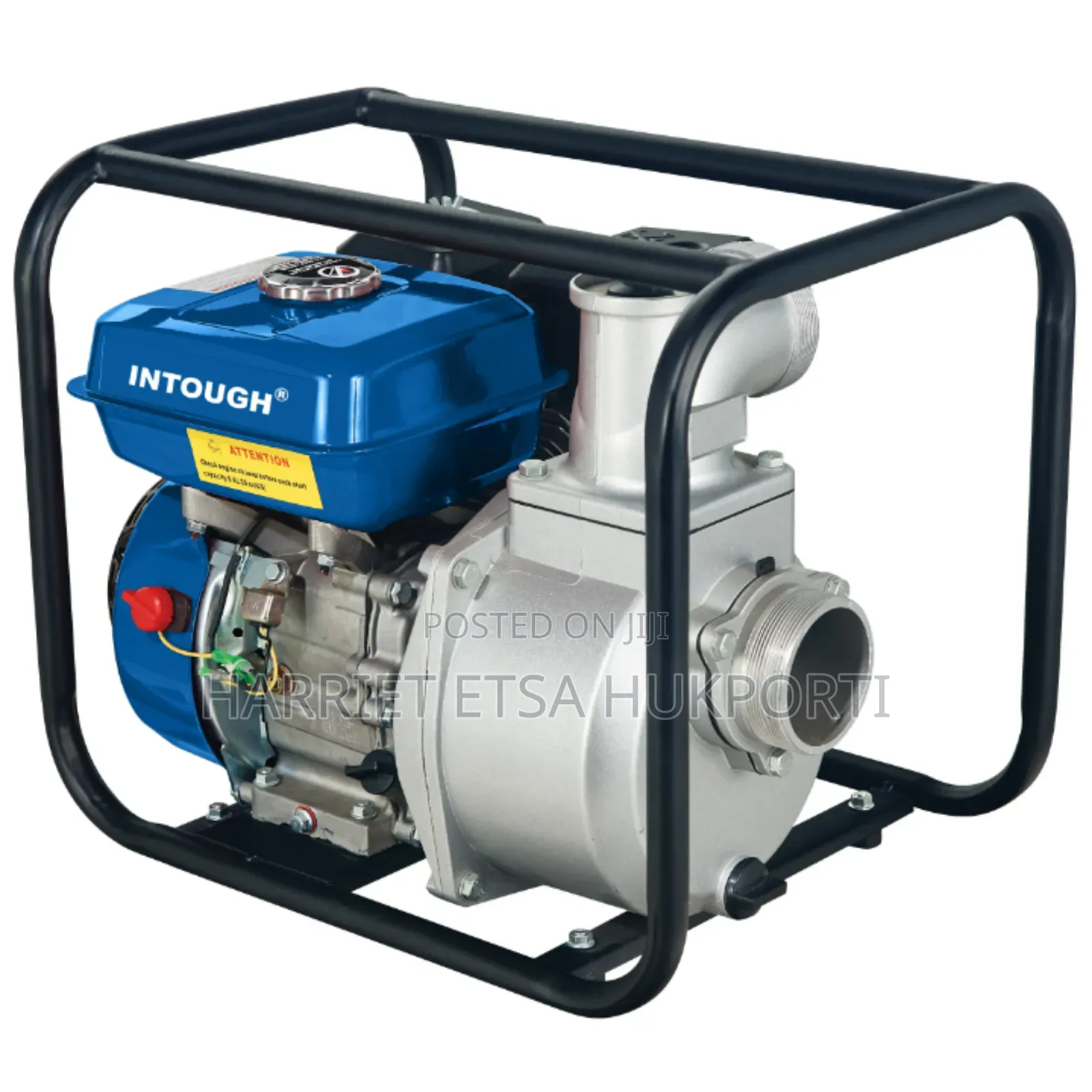 Brand New 196 Water Pump From Italy (196cc Intough)