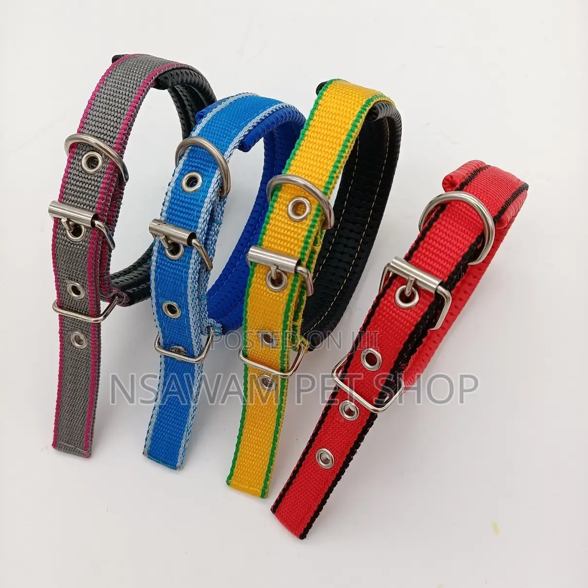 Nylon Collar for Small Dogs