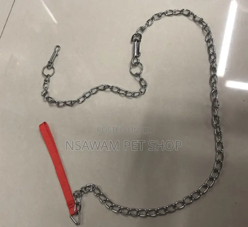 Dog Chain Dog Chain