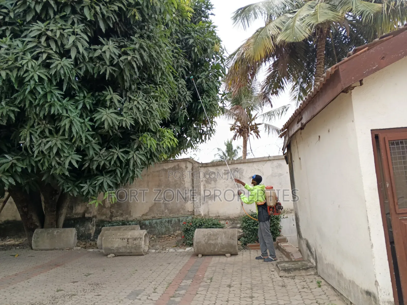 Me and You Fumigation With Cleantex