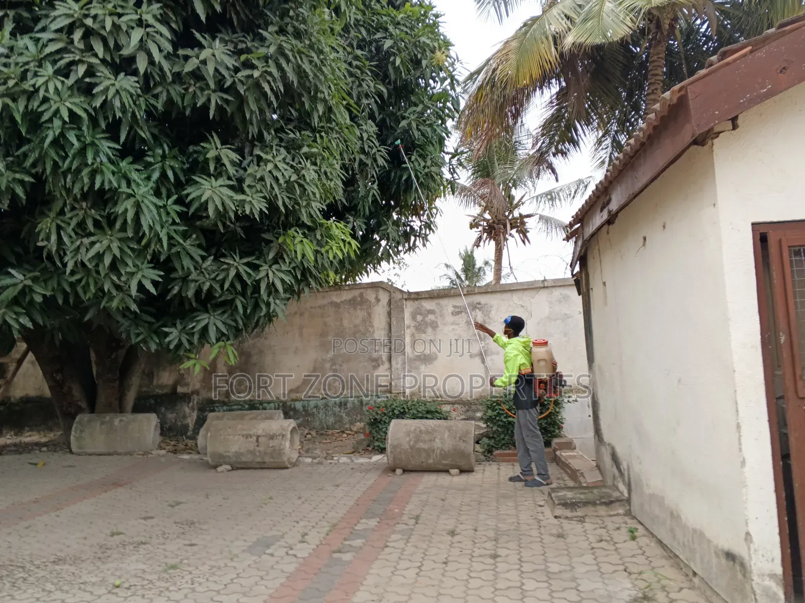 Me and You Fumigation With Cleantex