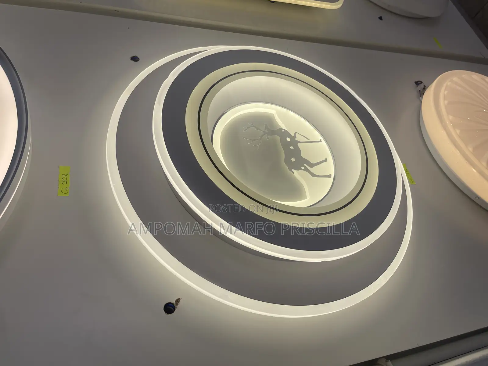 Modern Design Ceiling Light