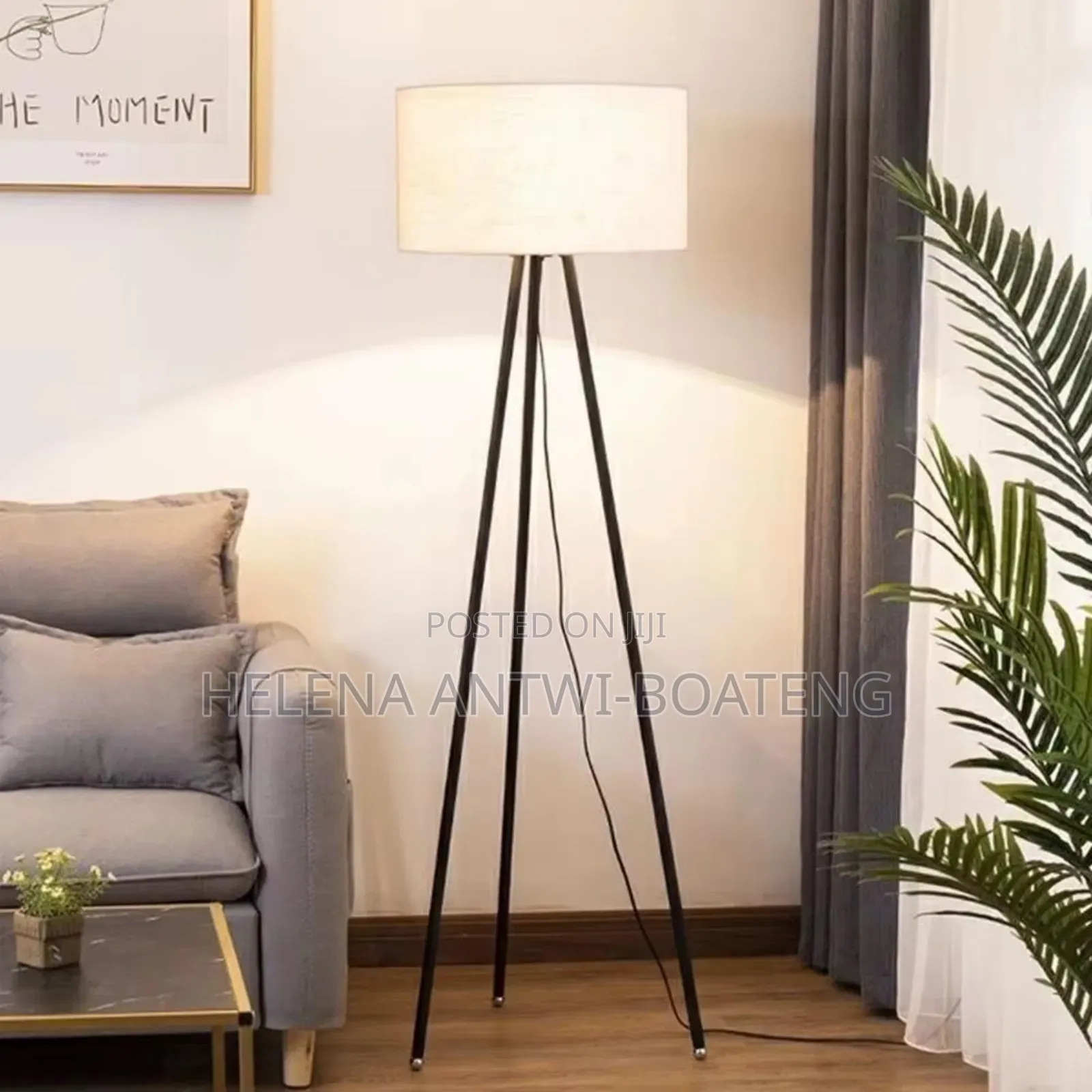 Floor Lamp/Standing Lamp