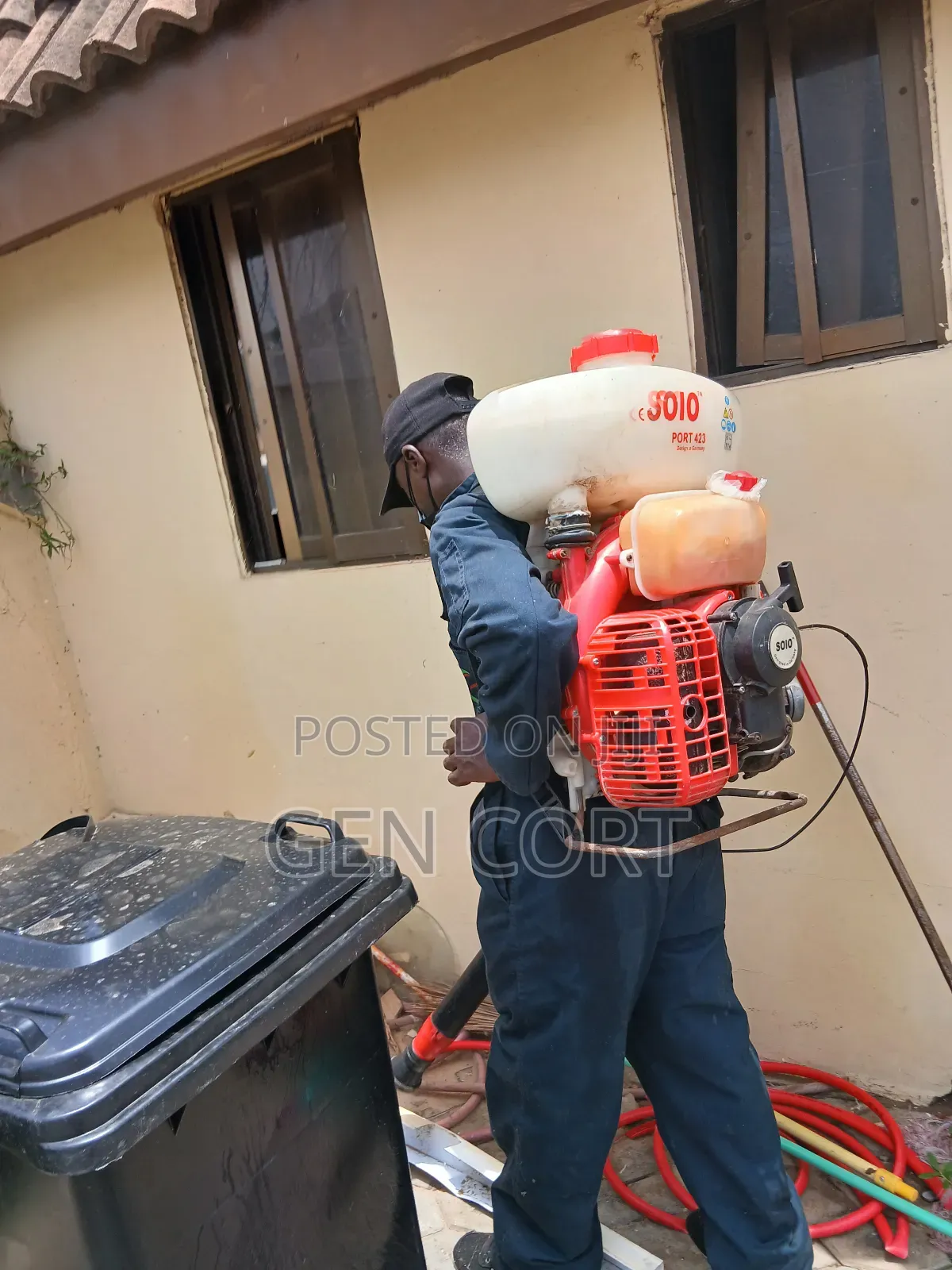 Get Rid of Bedbugs
