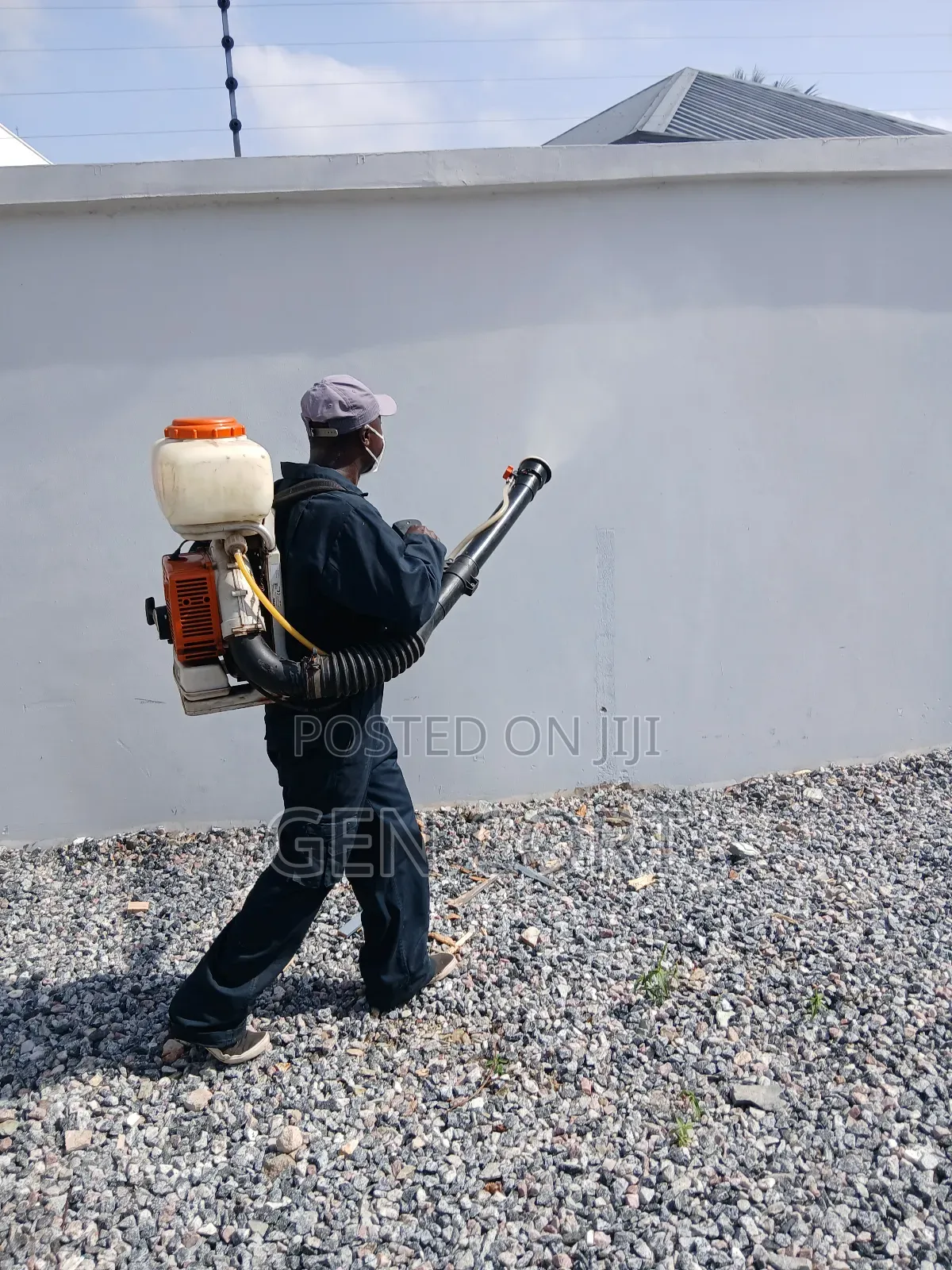 Fumigation and Pest Control Professional S
