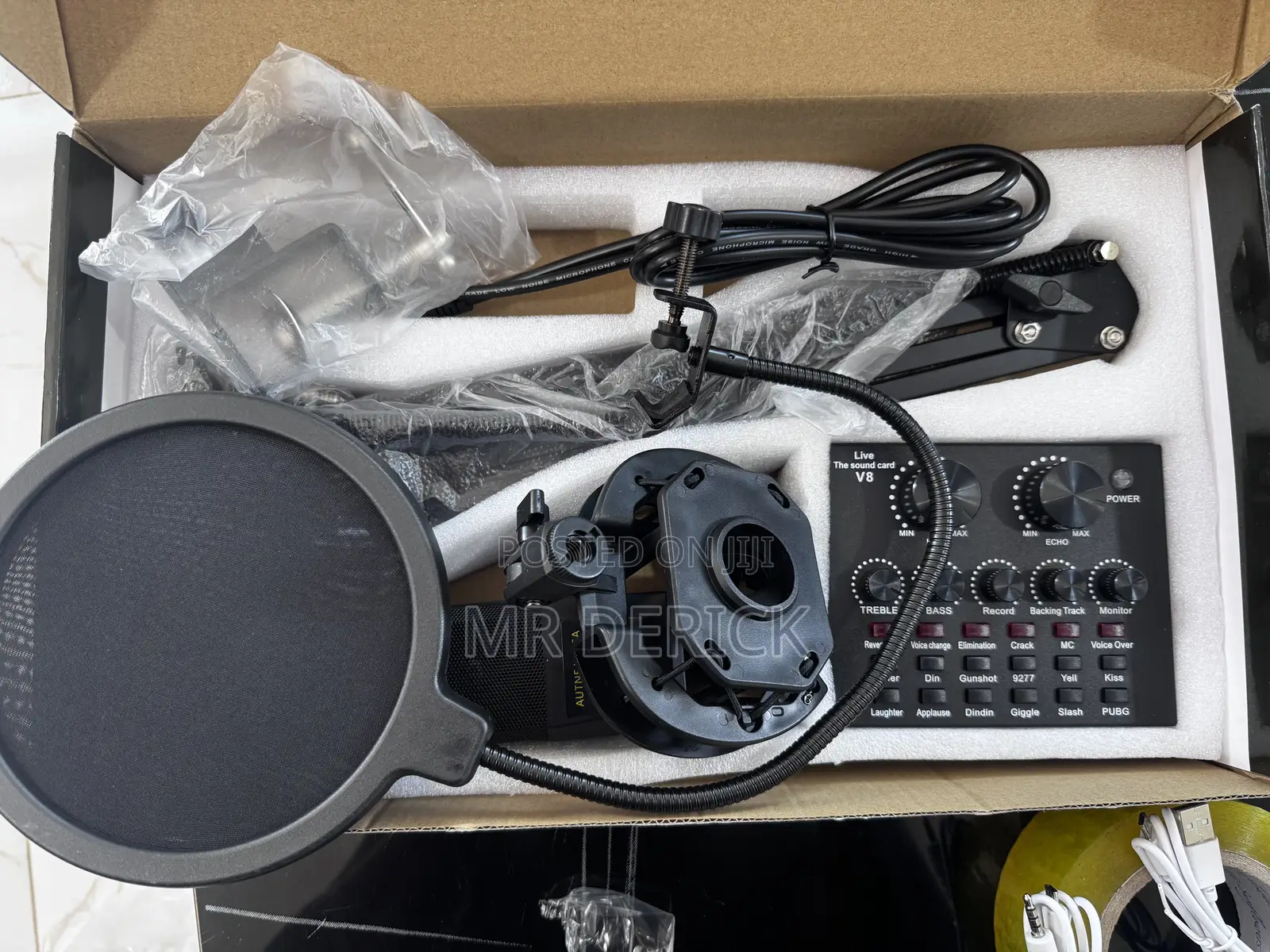 Professional Condenser Microphone/ Mic