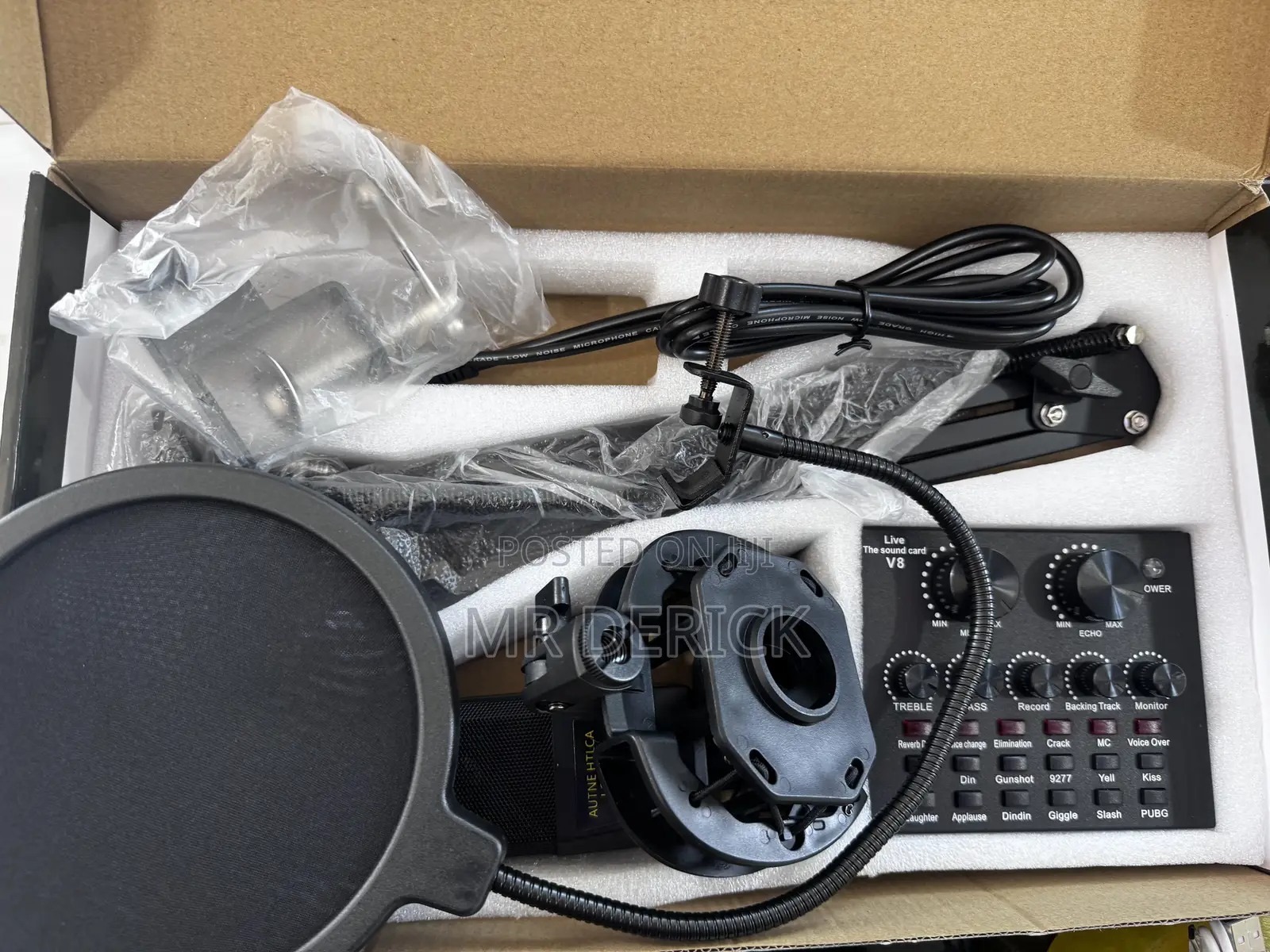Professional Condenser Microphone/ Mic