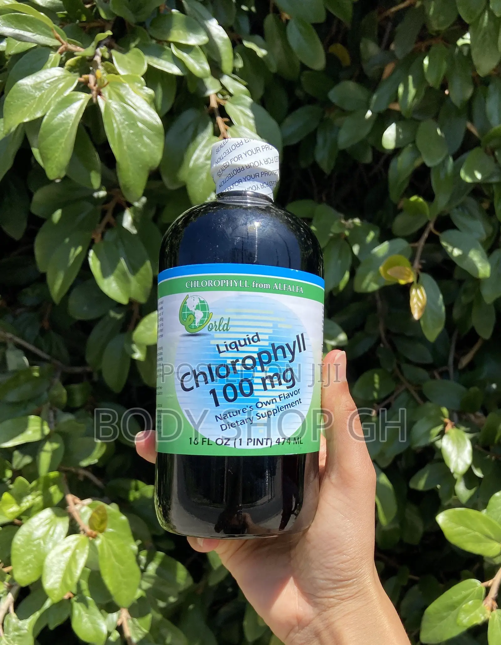 World Organics Chlorophyll Supplement Liquids, 100 Mg, 16 Fl Oz