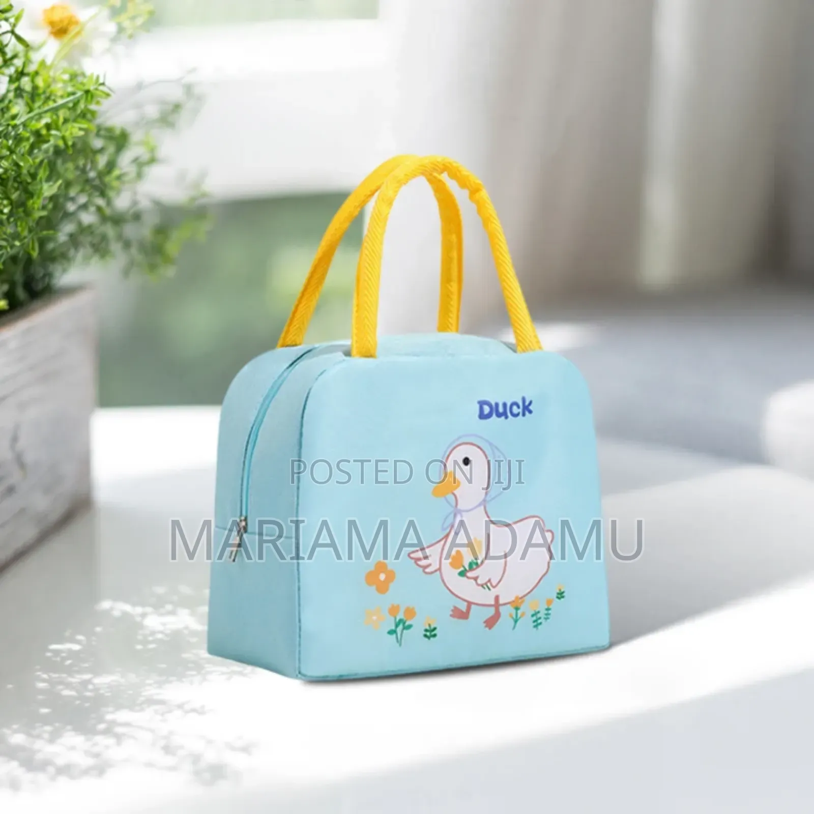 Lunch Bags