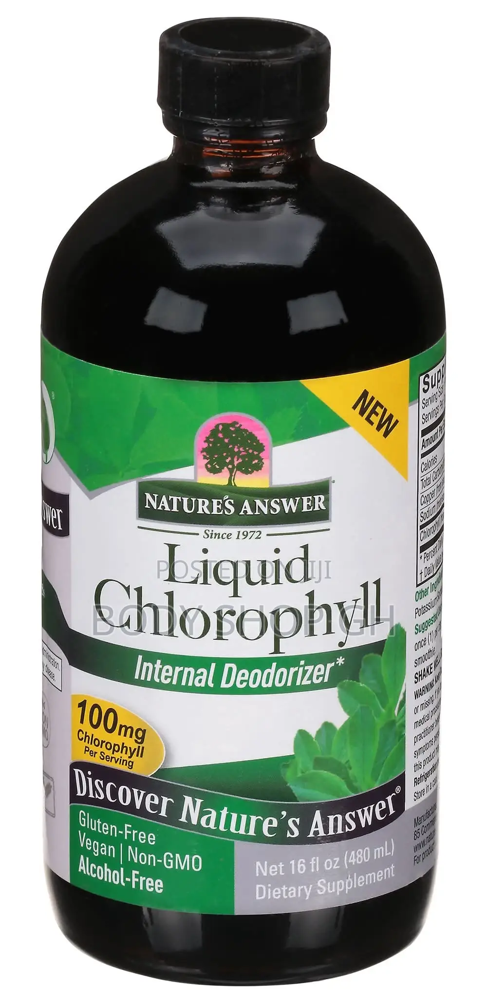Liquid Chlorophyll, Super Concentrated, Internal Deodorizer and Detox