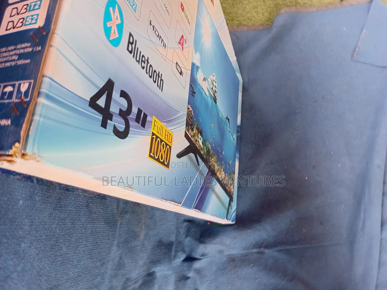 Dolphine Bay 43-Inch Full Hd Led Tv – Clear Vibrant Colors