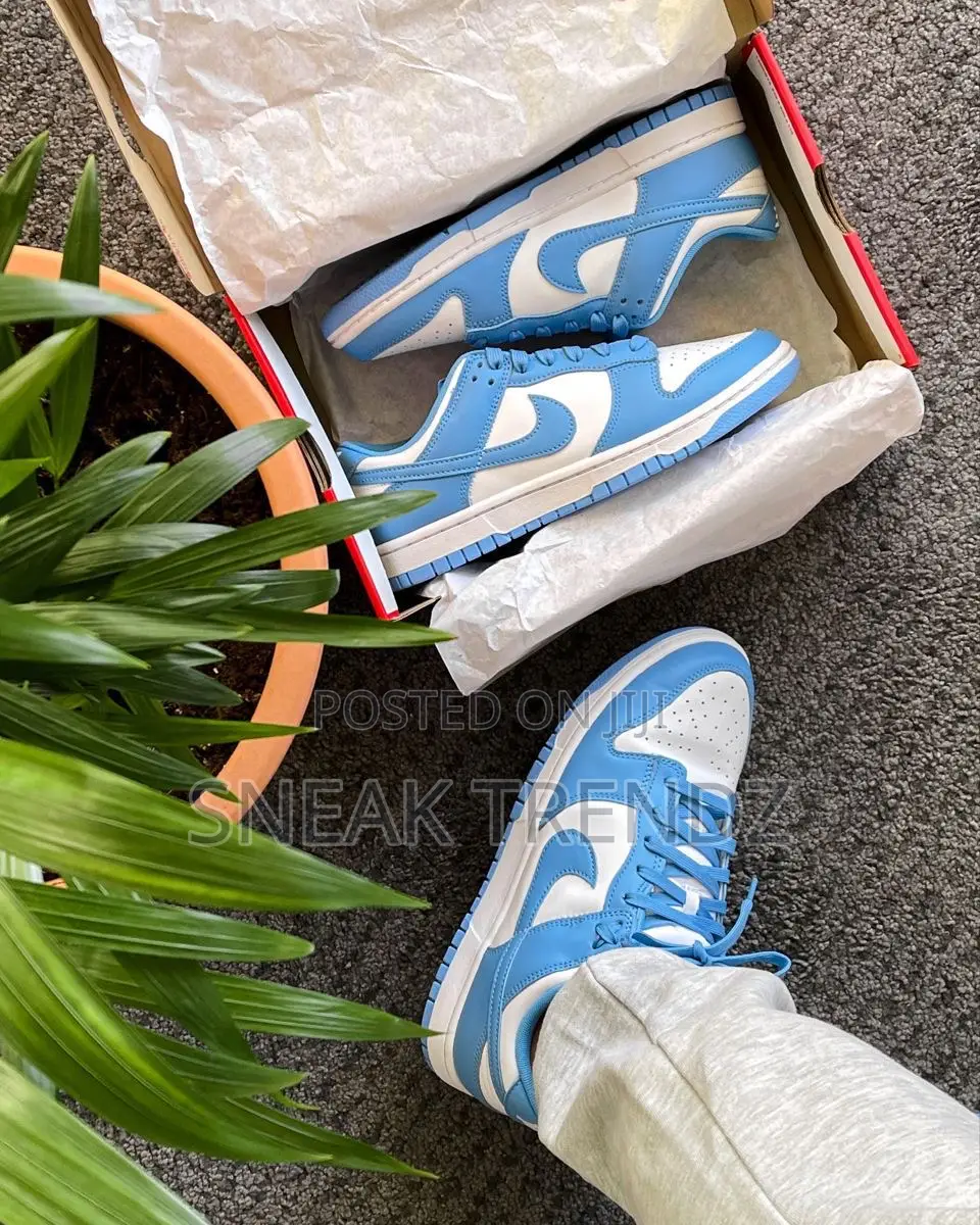 Nike Sb Low Sea Blue White
