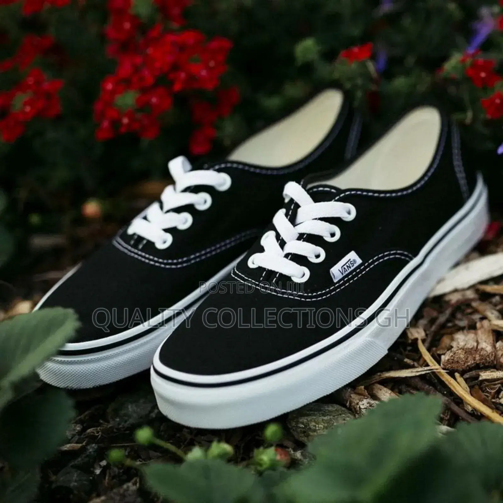 Vans Black and White
