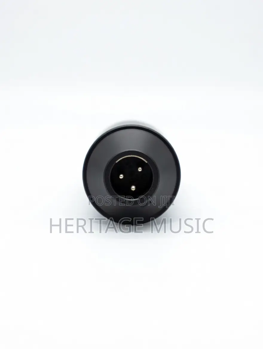 Marantz Mpm1000 Podcast Mic