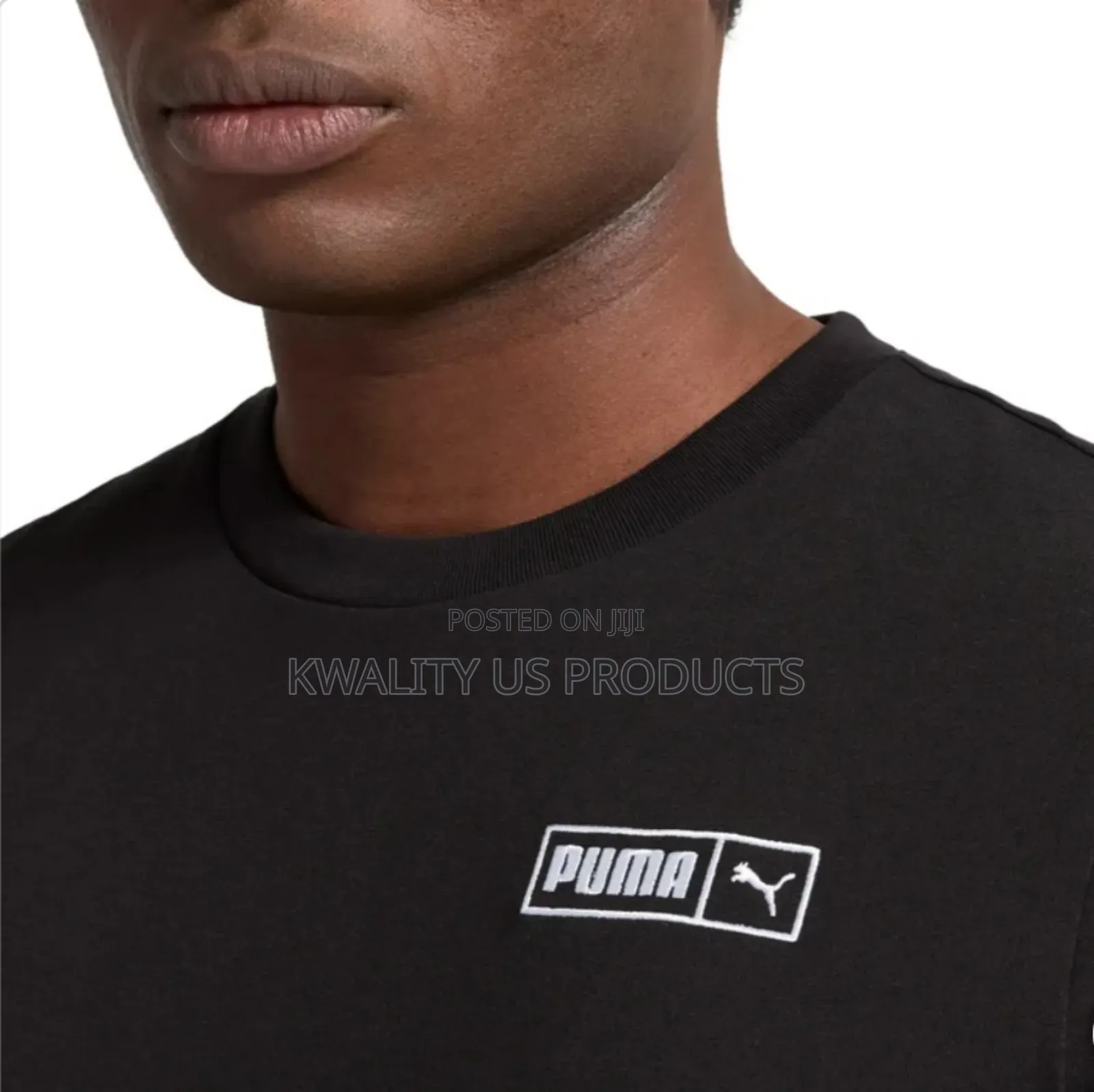 Puma Men's Short Sleeve Graphic Logo T-Shirt
