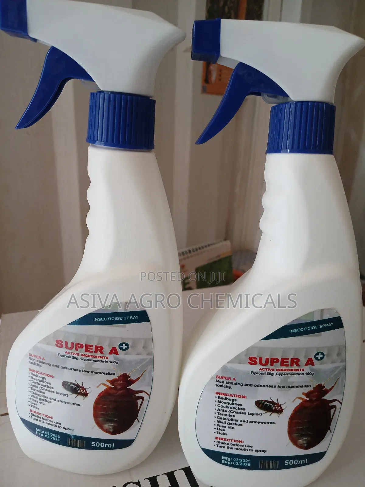 Fumigation Service Against Pest Such as Bedbugs, Rodents Etc