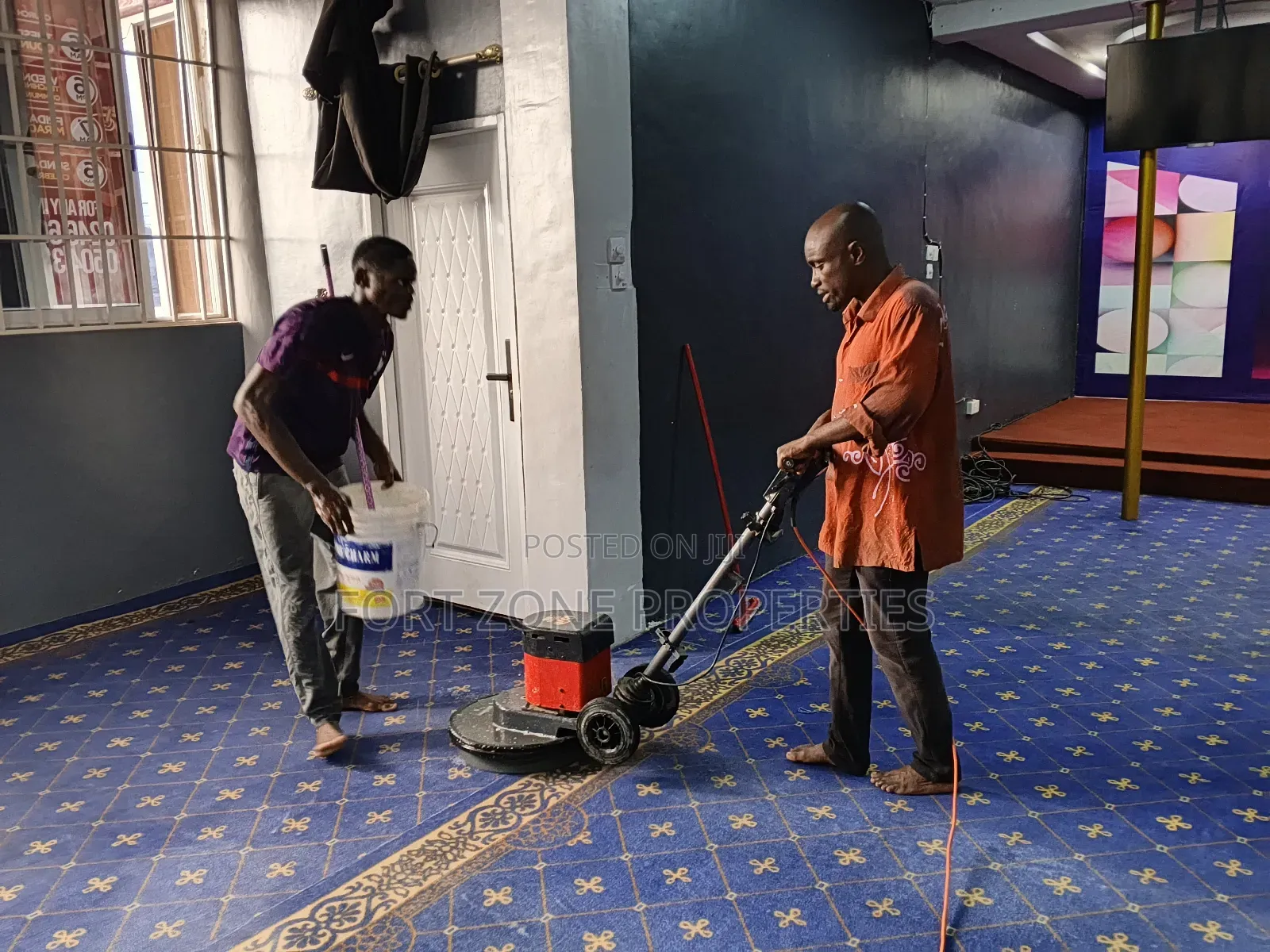 Professional Carpet Cleaning