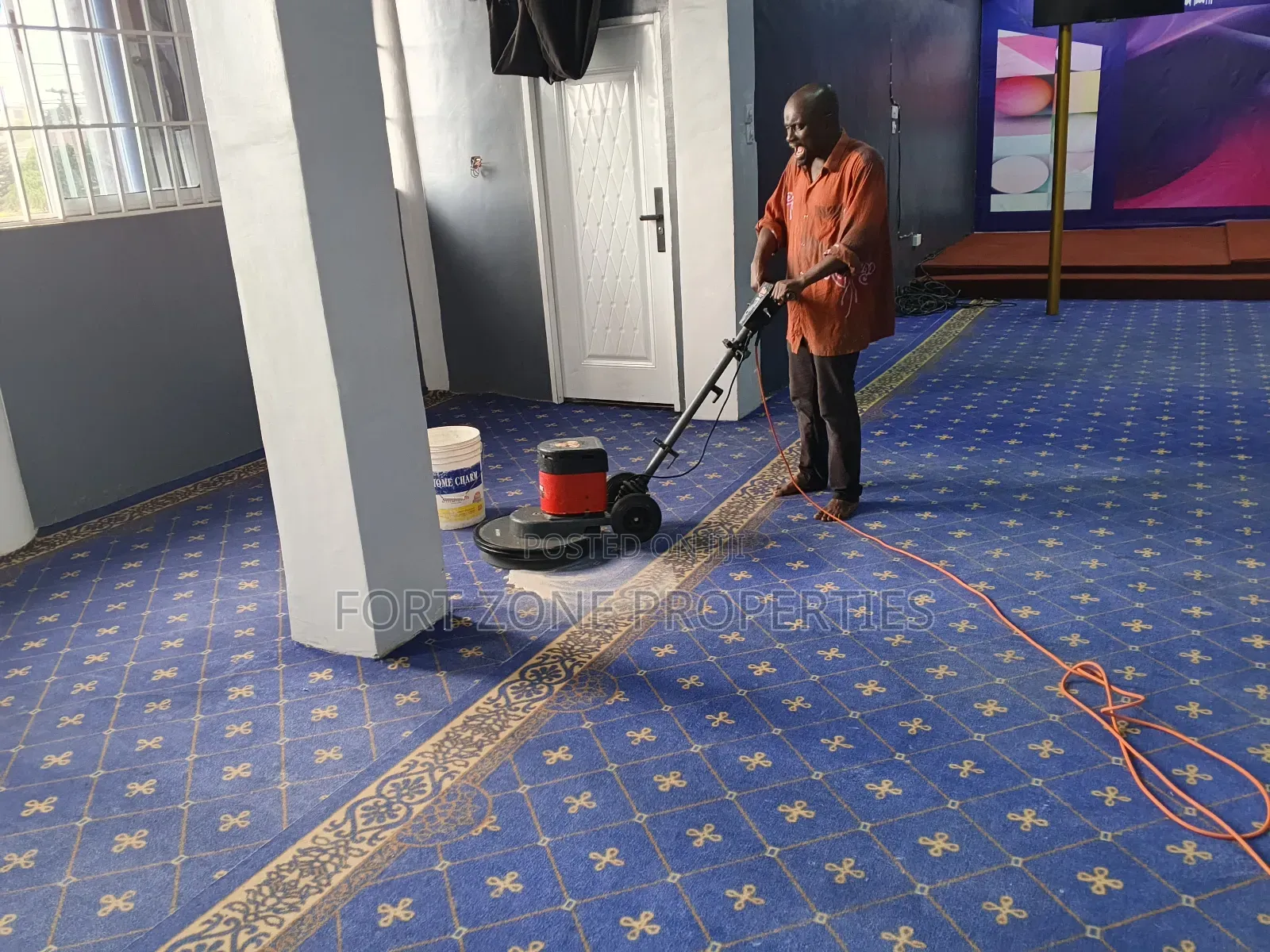Professional Carpet Cleaning